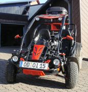 Buggy-Mike.JPG