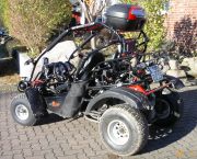 Buggy5-Mike.JPG