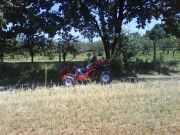 DSC00007.JPG