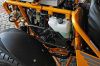 Buggy-Details-008-Web.jpg
